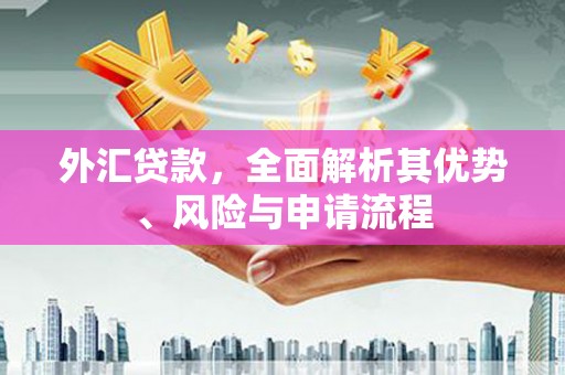 交口外汇贷款，全面解析其优势、风险与申请流程