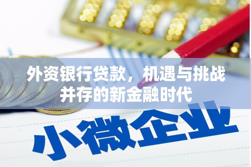 交口外资银行贷款，机遇与挑战并存的新金融时代
