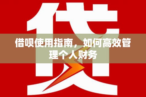 交口借呗使用指南，如何高效管理个人财务