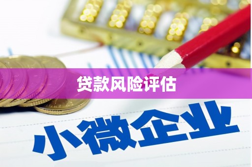 交口贷款风险评估