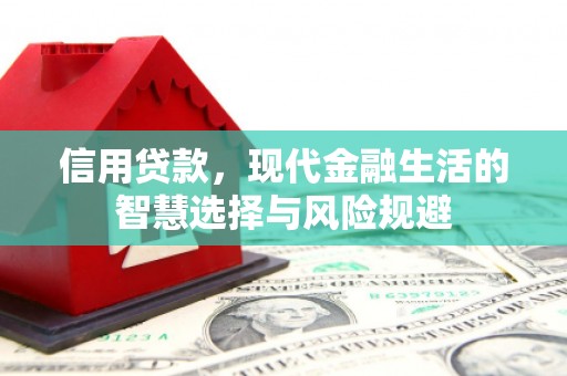 交口信用贷款，现代金融生活的智慧选择与风险规避
