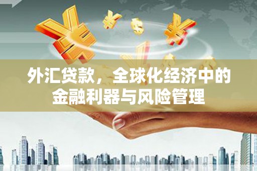 交口外汇贷款，全球化经济中的金融利器与风险管理