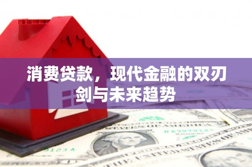 交口消费贷款，现代金融的双刃剑与未来趋势
