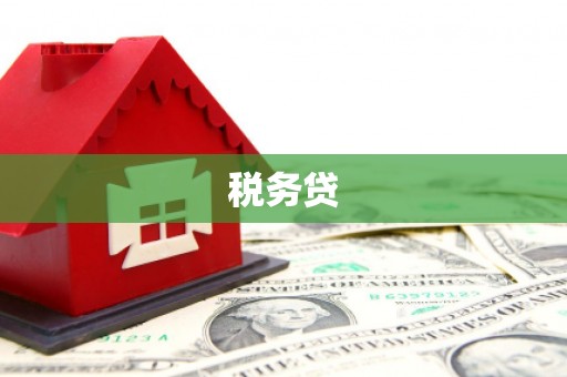 交口税务贷
