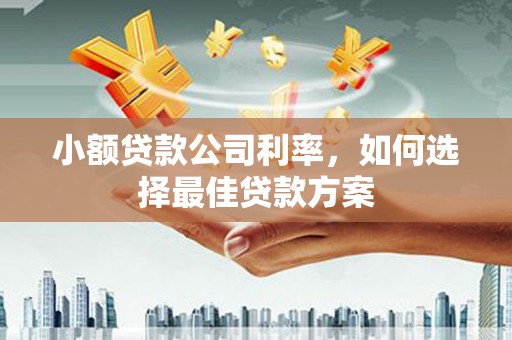 交口小额贷款公司利率，如何选择最佳贷款方案