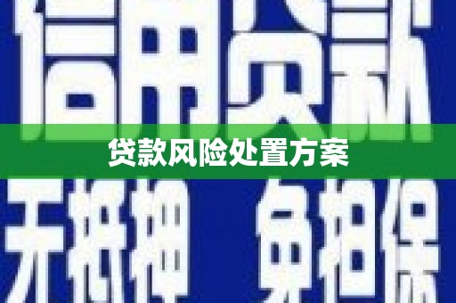 交口贷款风险处置方案