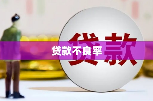 交口贷款不良率