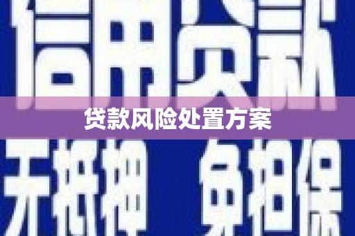 交口贷款风险处置方案