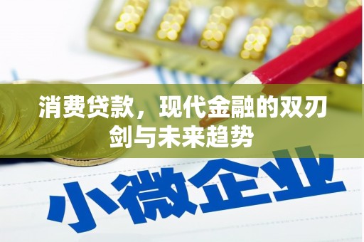 交口消费贷款，现代金融的双刃剑与未来趋势