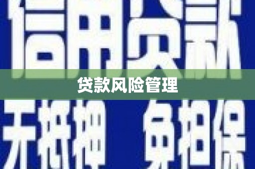 交口贷款风险管理