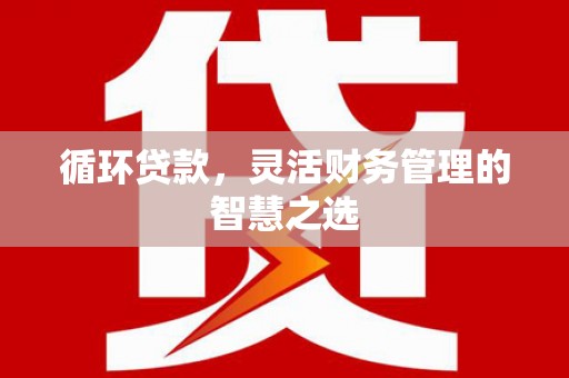 交口循环贷款，灵活财务管理的智慧之选