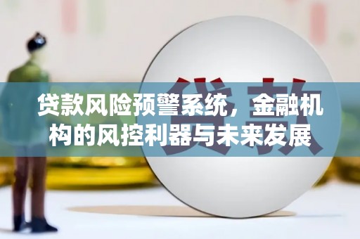交口贷款风险预警系统，金融机构的风控利器与未来发展
