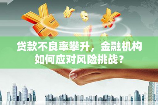 交口贷款不良率攀升，金融机构如何应对风险挑战？