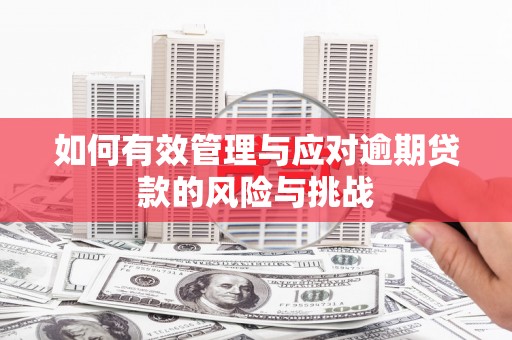 交口如何有效管理与应对逾期贷款的风险与挑战