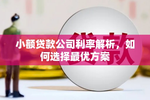 交口小额贷款公司利率解析，如何选择最优方案