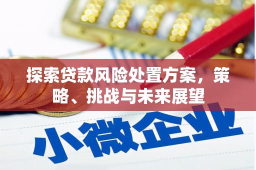 交口探索贷款风险处置方案，策略、挑战与未来展望