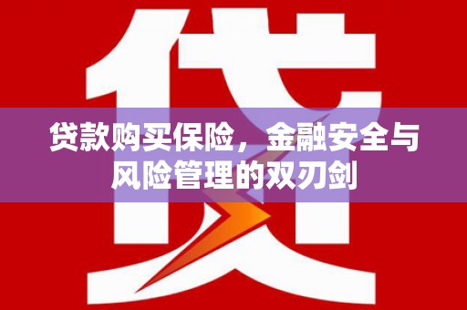 交口贷款购买保险，金融安全与风险管理的双刃剑