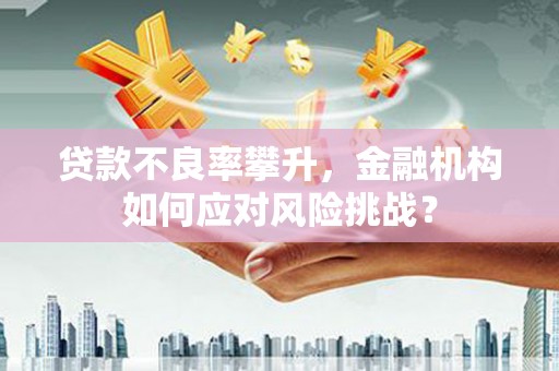 交口贷款不良率攀升，金融机构如何应对风险挑战？