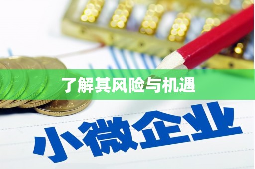 交口了解其风险与机遇
