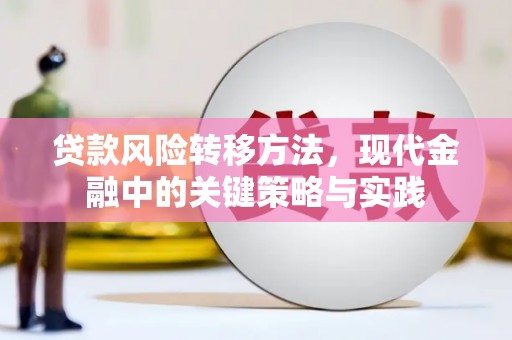 交口贷款风险转移方法，现代金融中的关键策略与实践