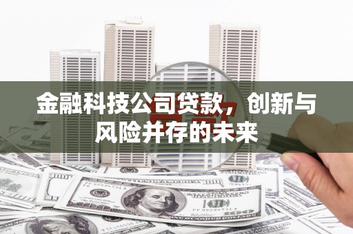 交口金融科技公司贷款，创新与风险并存的未来