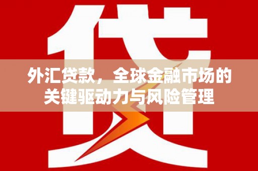 交口外汇贷款，全球金融市场的关键驱动力与风险管理