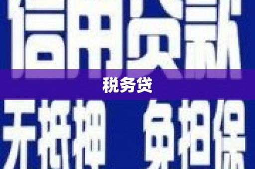 交口税务贷