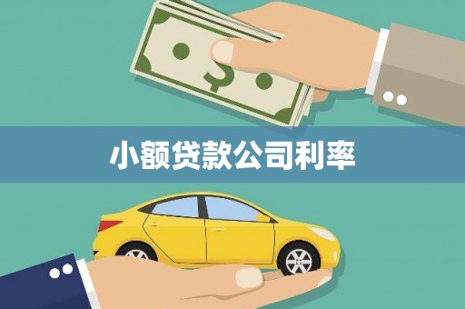 交口小额贷款公司利率
