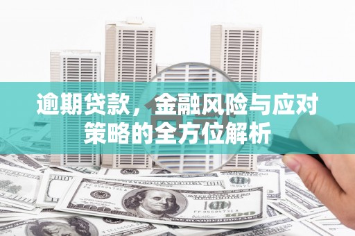 交口逾期贷款，金融风险与应对策略的全方位解析