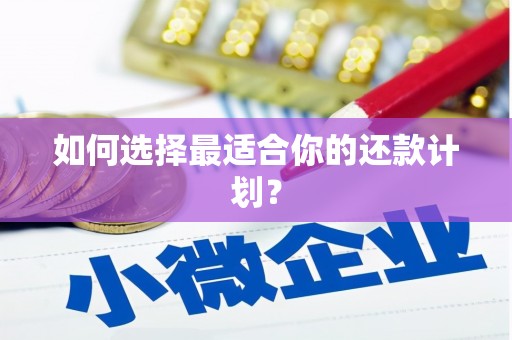交口如何选择最适合你的还款计划？