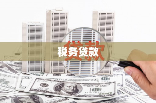 交口税务贷款