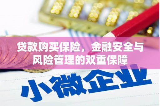 交口贷款购买保险，金融安全与风险管理的双重保障