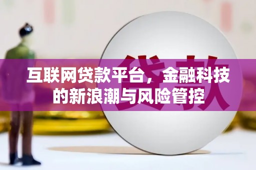 交口互联网贷款平台，金融科技的新浪潮与风险管控