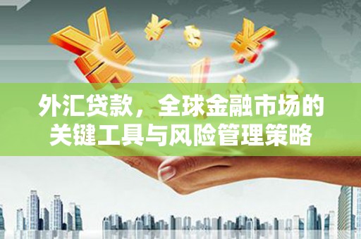 交口外汇贷款，全球金融市场的关键工具与风险管理策略