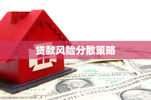 交口贷款风险分散策略