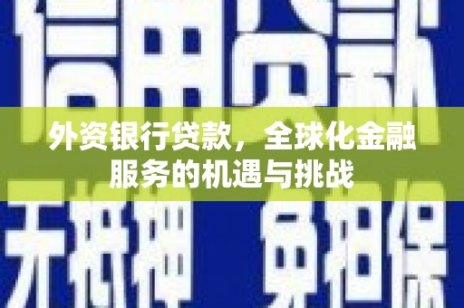 交口外资银行贷款，全球化金融服务的机遇与挑战