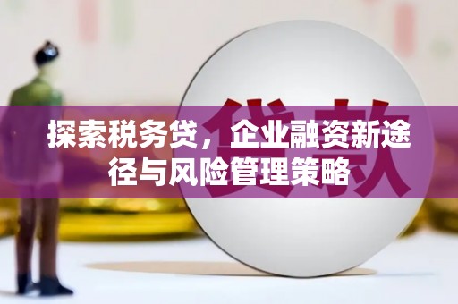 交口探索税务贷，企业融资新途径与风险管理策略