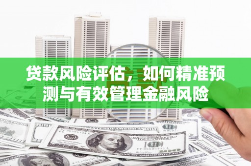交口贷款风险评估，如何精准预测与有效管理金融风险