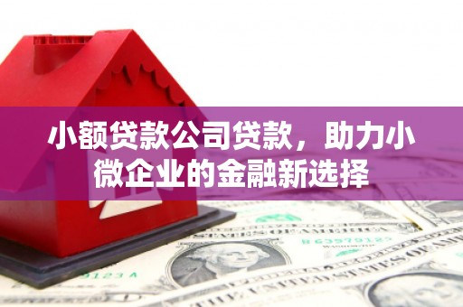交口小额贷款公司贷款，助力小微企业的金融新选择