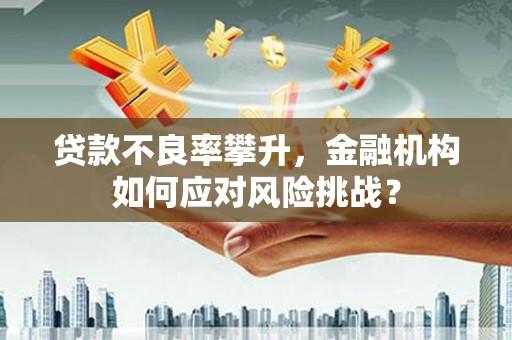 交口贷款不良率攀升，金融机构如何应对风险挑战？