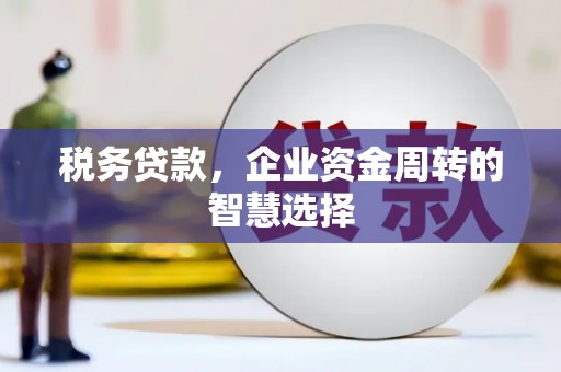 交口税务贷款，企业资金周转的智慧选择