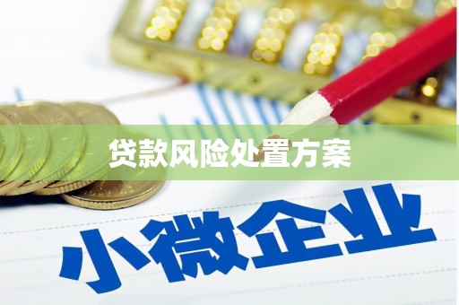 交口贷款风险处置方案