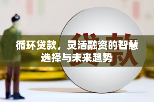 交口循环贷款，灵活融资的智慧选择与未来趋势