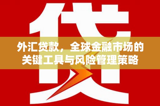 交口外汇贷款，全球金融市场的关键工具与风险管理策略