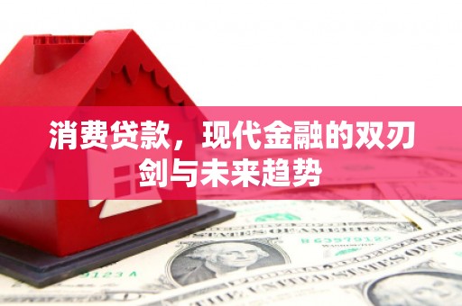 交口消费贷款，现代金融的双刃剑与未来趋势
