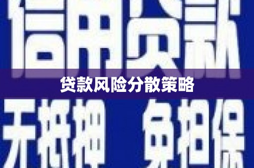 交口贷款风险分散策略