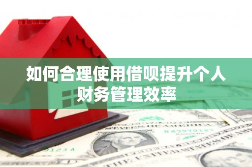 交口如何合理使用借呗提升个人财务管理效率