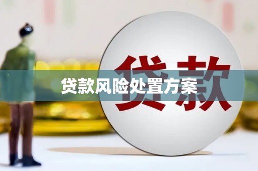 交口贷款风险处置方案