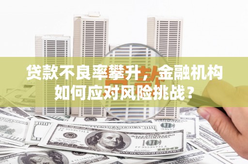 交口贷款不良率攀升，金融机构如何应对风险挑战？
