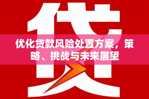 交口优化贷款风险处置方案，策略、挑战与未来展望